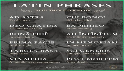 A Profile Of A Latin Beauty