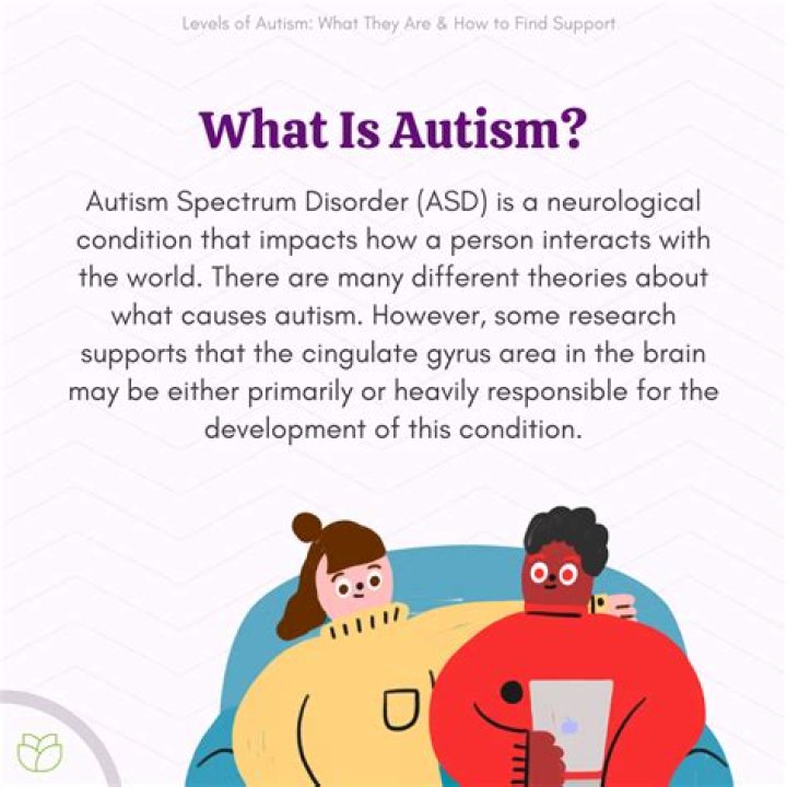 Are people with autism wired differently?