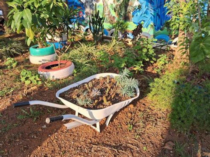 Are tires bad for plants?
