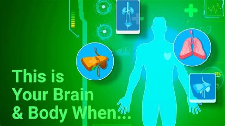 Can a bug go to your brain?
