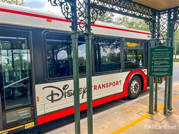 Can anyone ride the Disney buses?