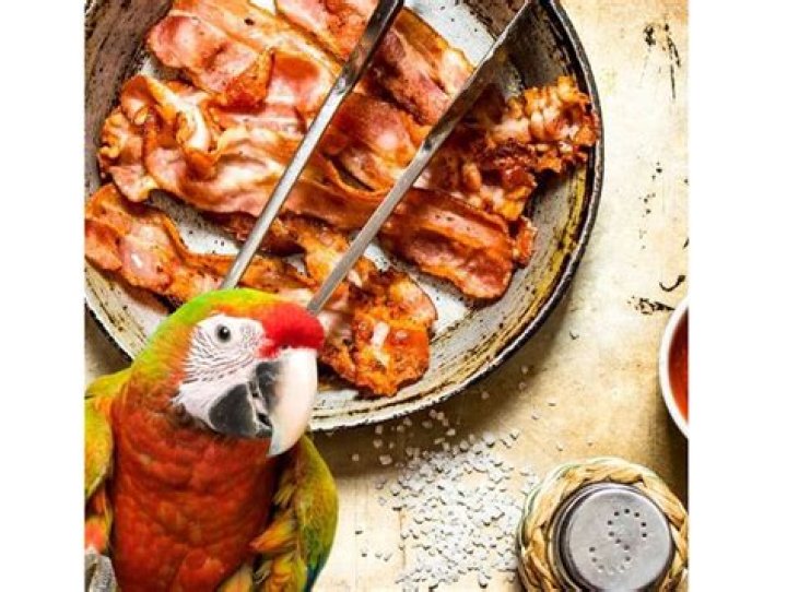 Can birds eat bacon?