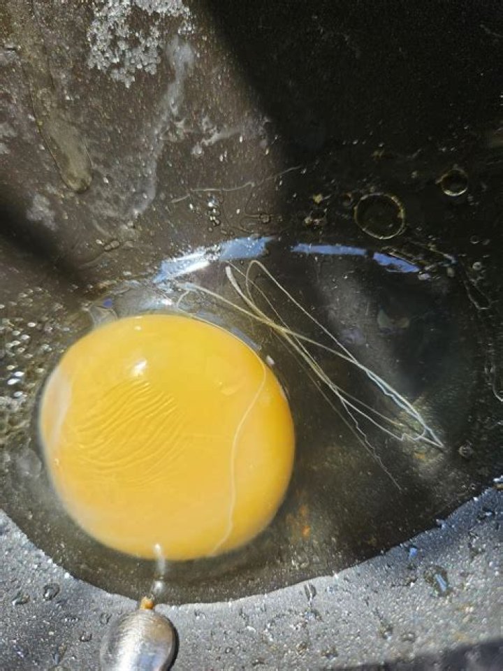 Can eggs have worms in them?