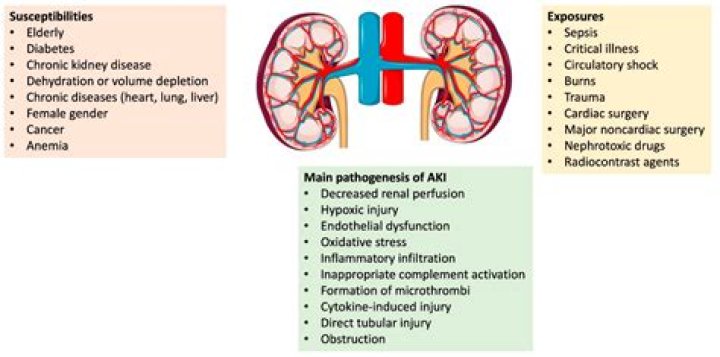 Can hard water affect your kidneys?