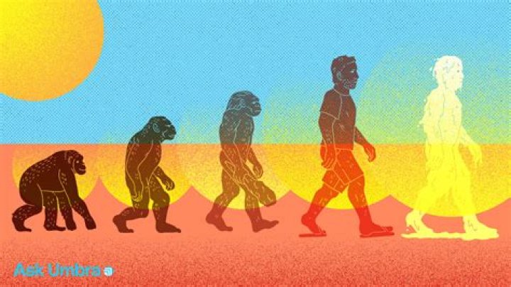 Can humans go in heat?