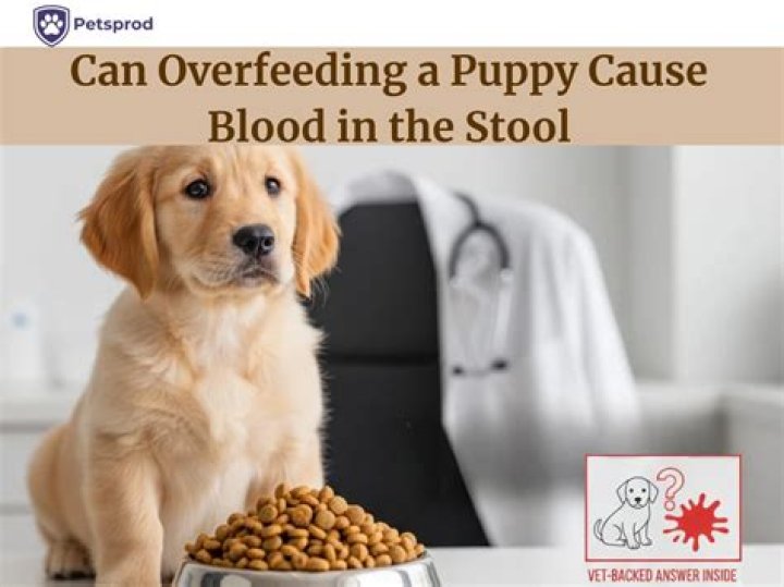 Can overfeeding cause colic?