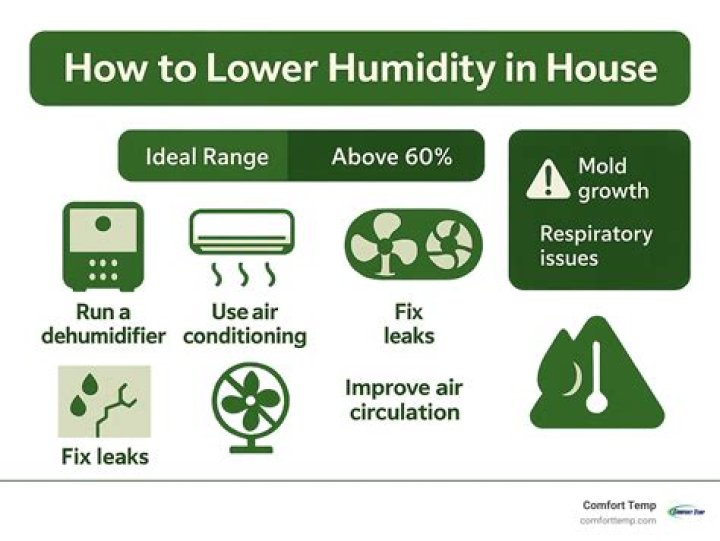 Can running a humidifier cause mold?