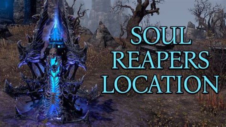 Can Soul Reapers fly?