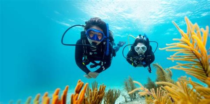 Can you go scuba diving with no experience?