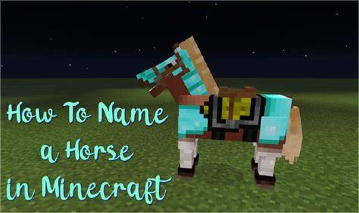 Can you name a horse in Minecraft?