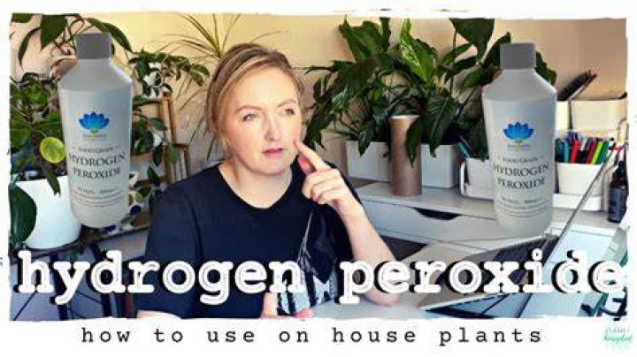 Can you put hydrogen peroxide on eczema?