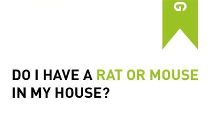 Do I have a rat or mouse?
