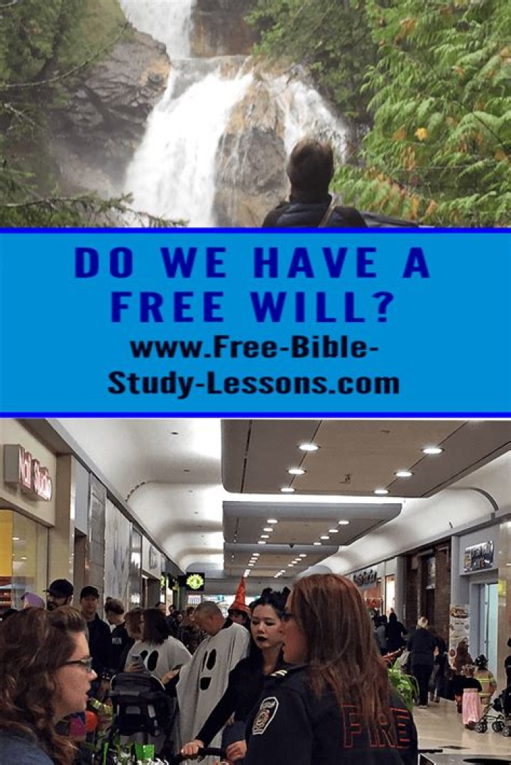 Do we have free will in Islam?
