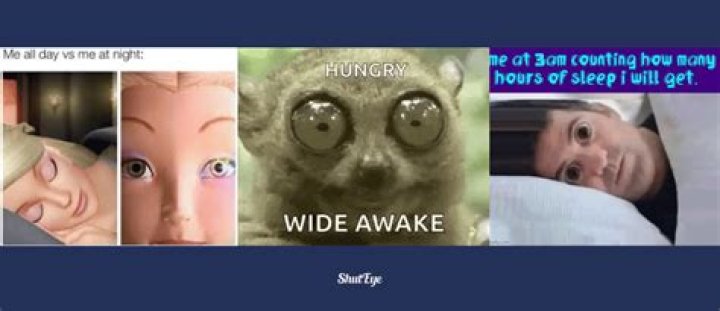 Do you lie awake or lay awake?