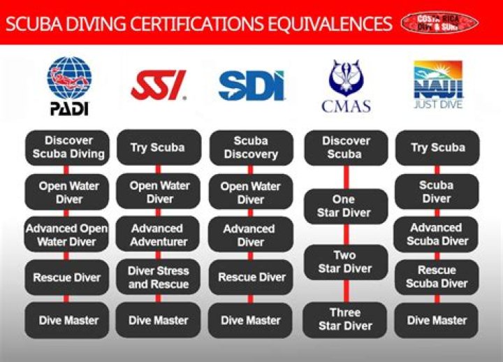 Do you need to be certified to dive?