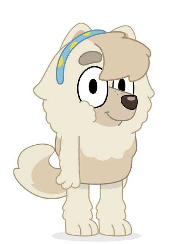 Does judo live next door to Bluey?