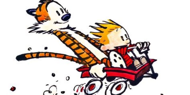 How did Meg surprise Calvin?