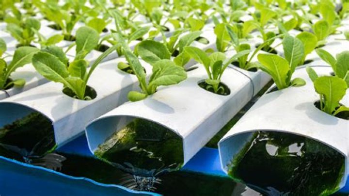 How do you collect rainwater hydroponics?