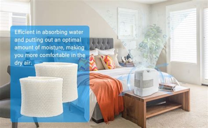 How do you disinfect a humidifier filter?