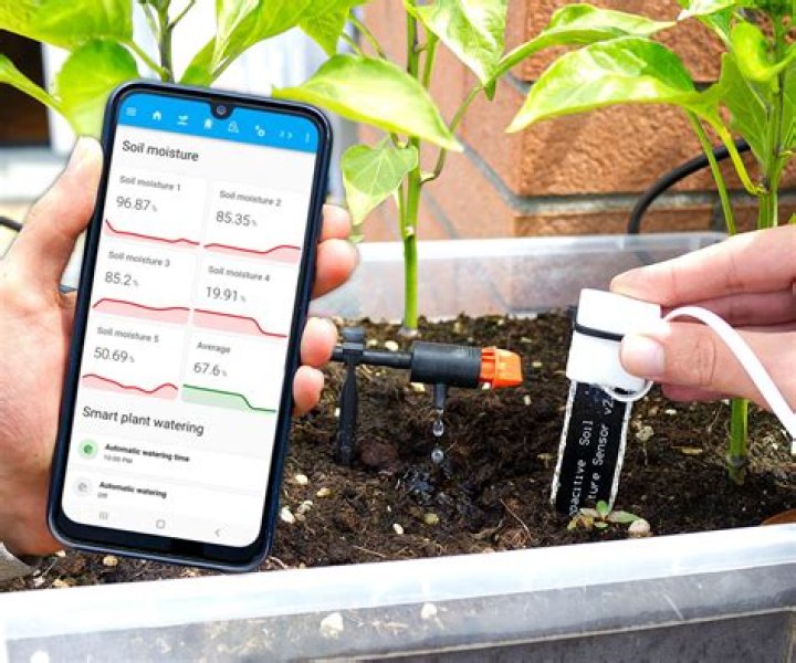 How do you keep soil moist in pots?