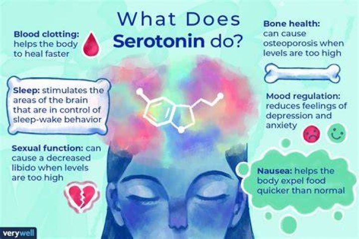 How does serotonin cause anxiety?
