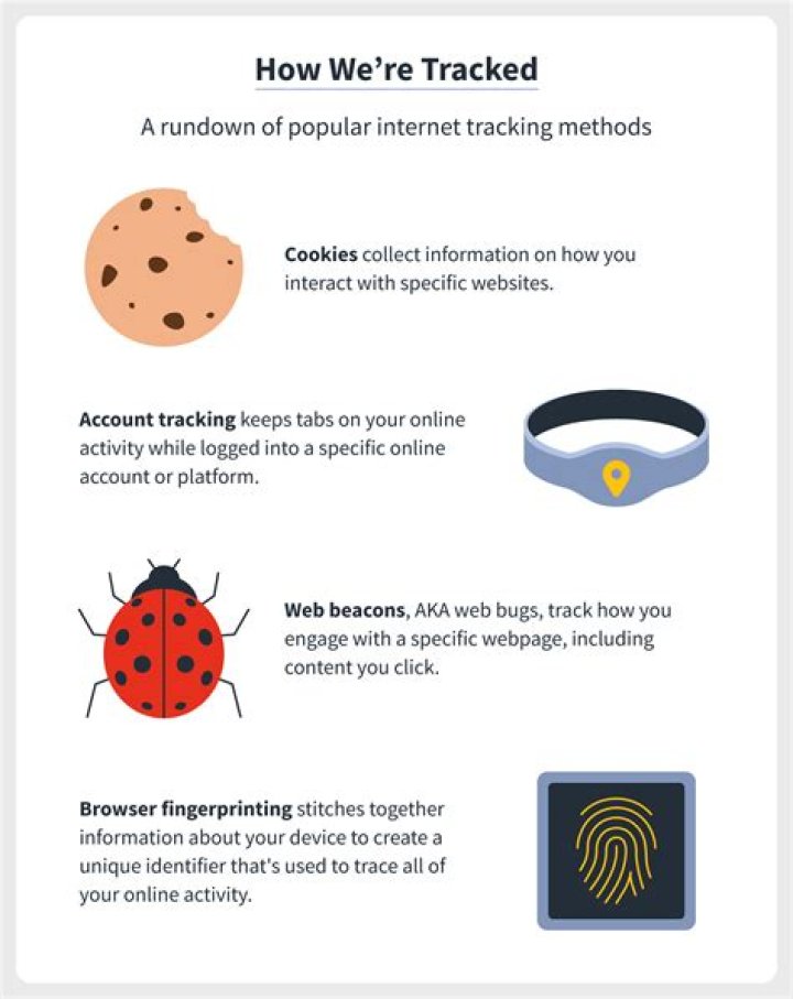 How far back can internet history be tracked?