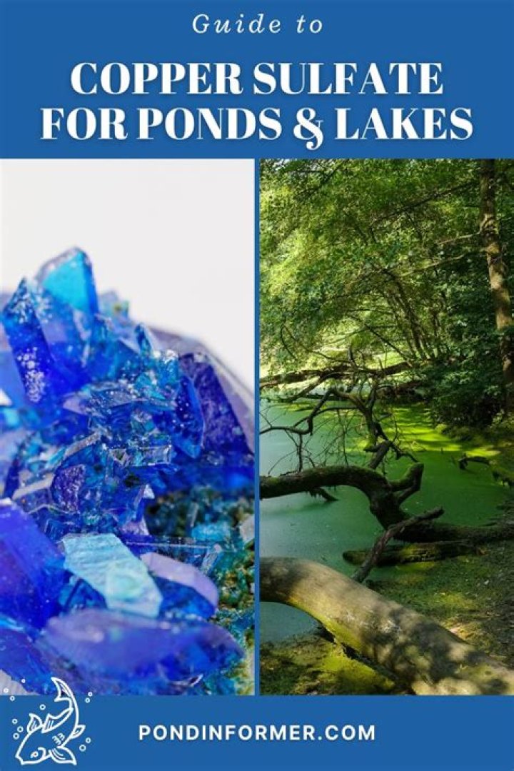How long does it take for copper sulfate to work?