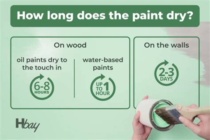 How long does repointing take to dry?