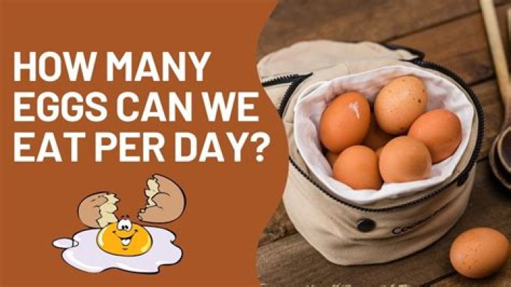 How many bread should I eat a day?