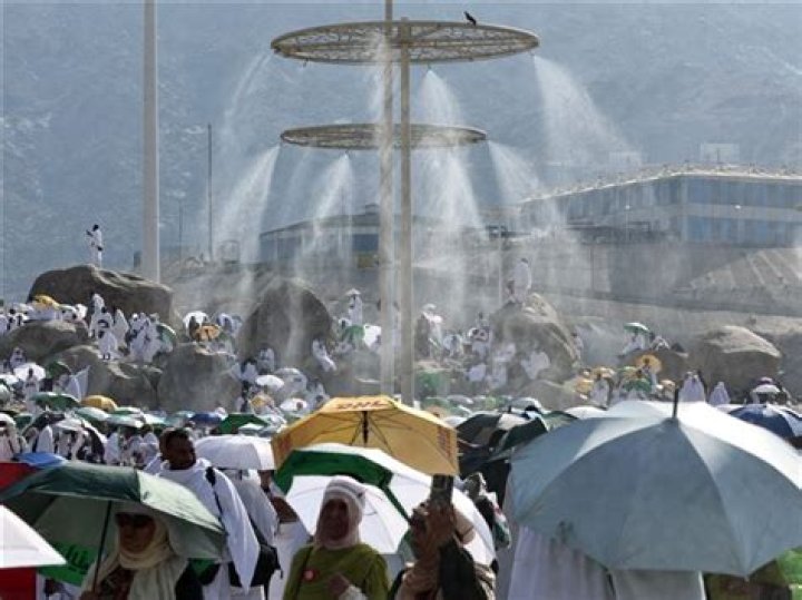 How many died in Hajj 2019?