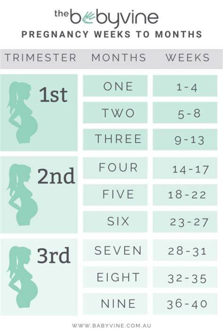 How many months is 9 weeks pregnant?