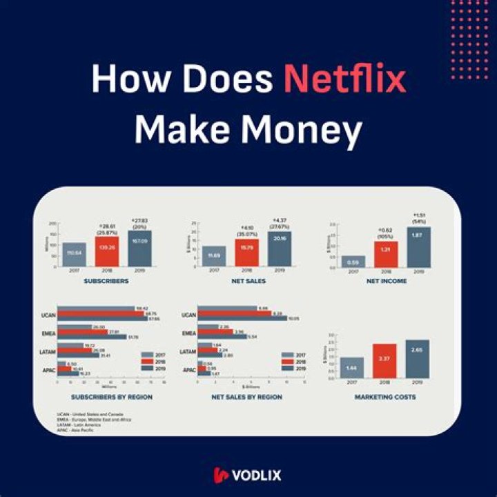 How much does Netflix make per day?