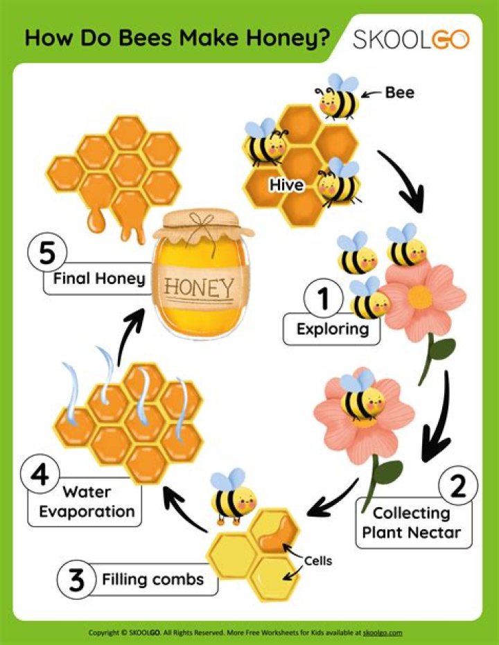 How much honey is in botulism?