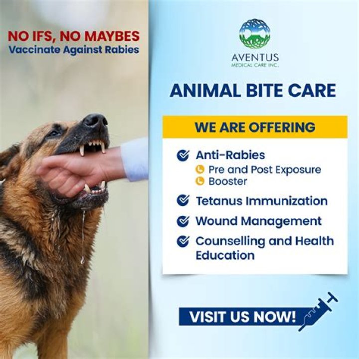 Is anti tetanus enough for dog bite?