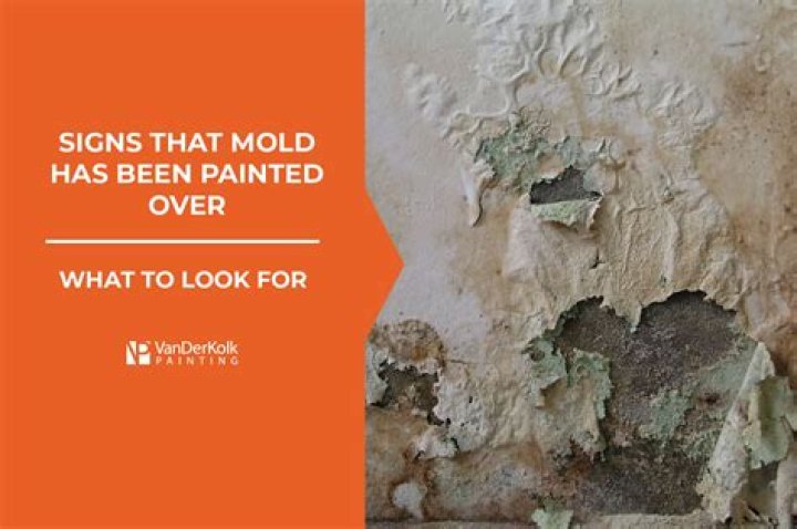 Is it okay to use moldy paint?