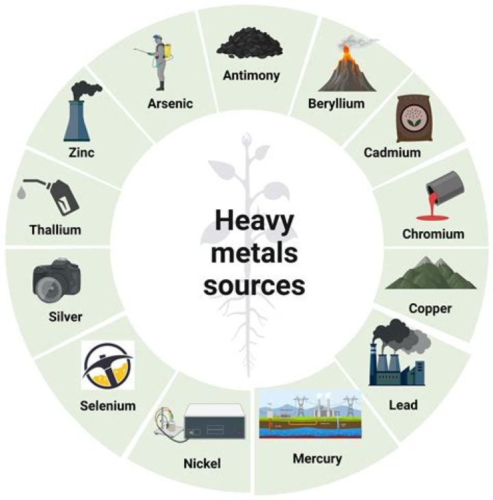 Is oatmeal high in heavy metals?
