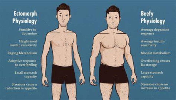 Is skinny a body type?