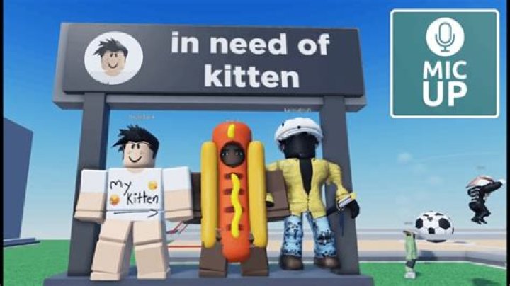 Is there a mic in Roblox?