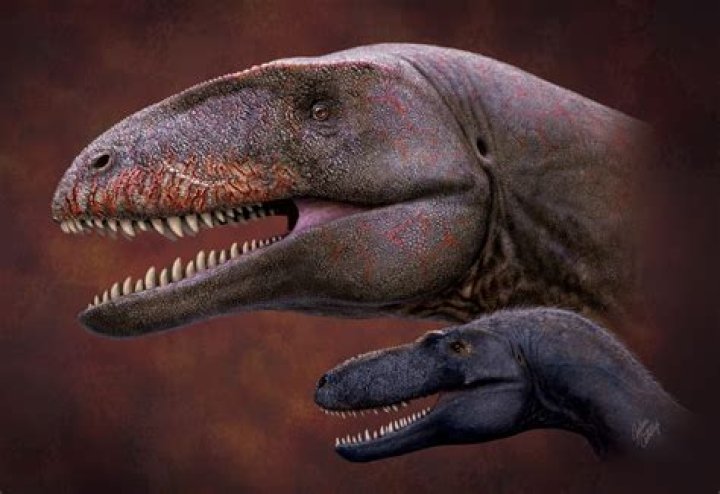 Is Ulughbegsaurus real?