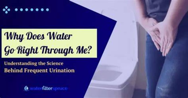 Is water supposed to go right through you?