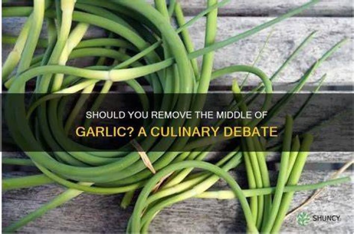 Should you remove the middle of garlic?