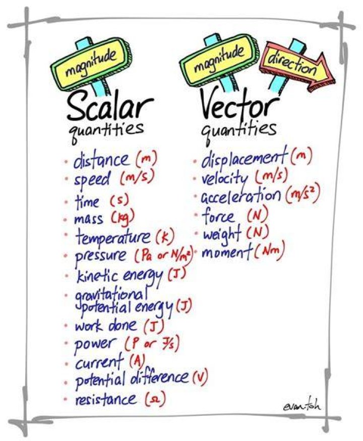 What are vector quantities?