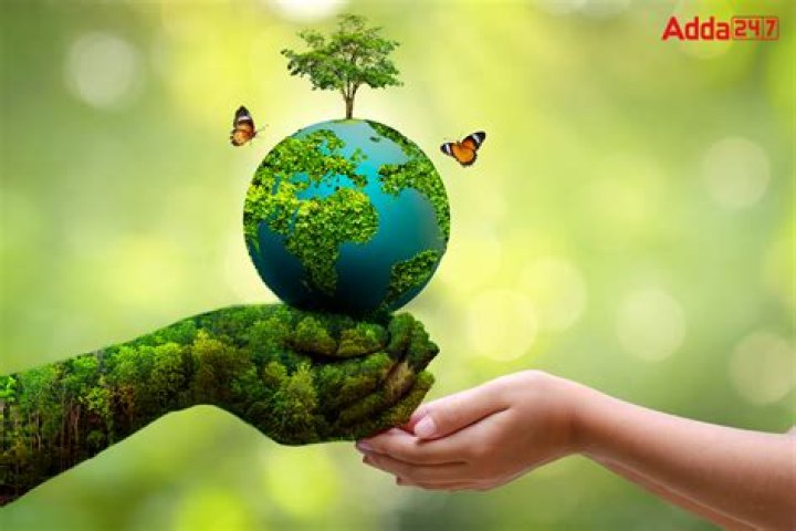 What can we do for Green in India?