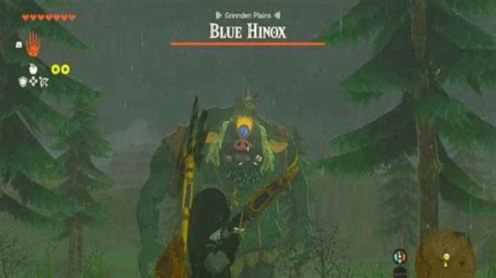 What can you do with Hinox toenails?