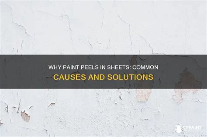 What causes paint to peel?