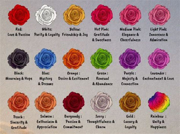 What color roses does St Therese send?