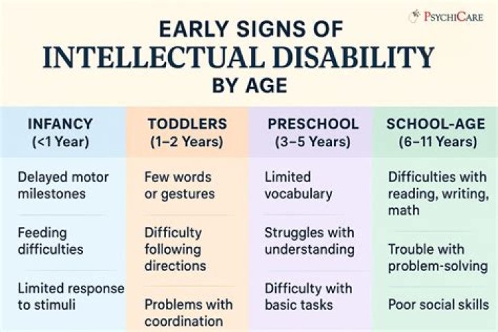 What does a mild intellectual disability look like?