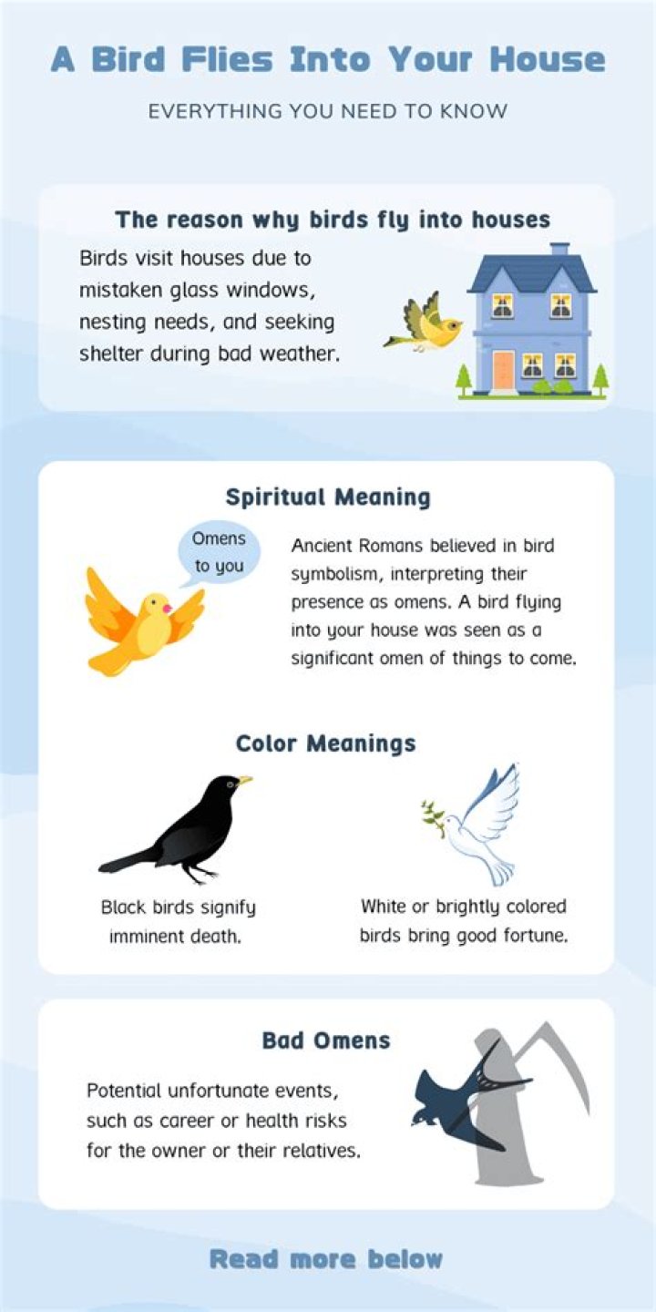 What does it mean when a bird keeps coming to your house?