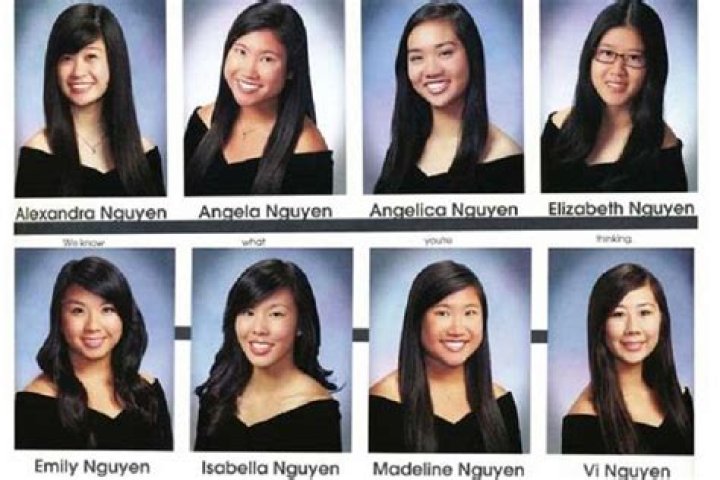 What does Nguyen mean in Vietnamese?