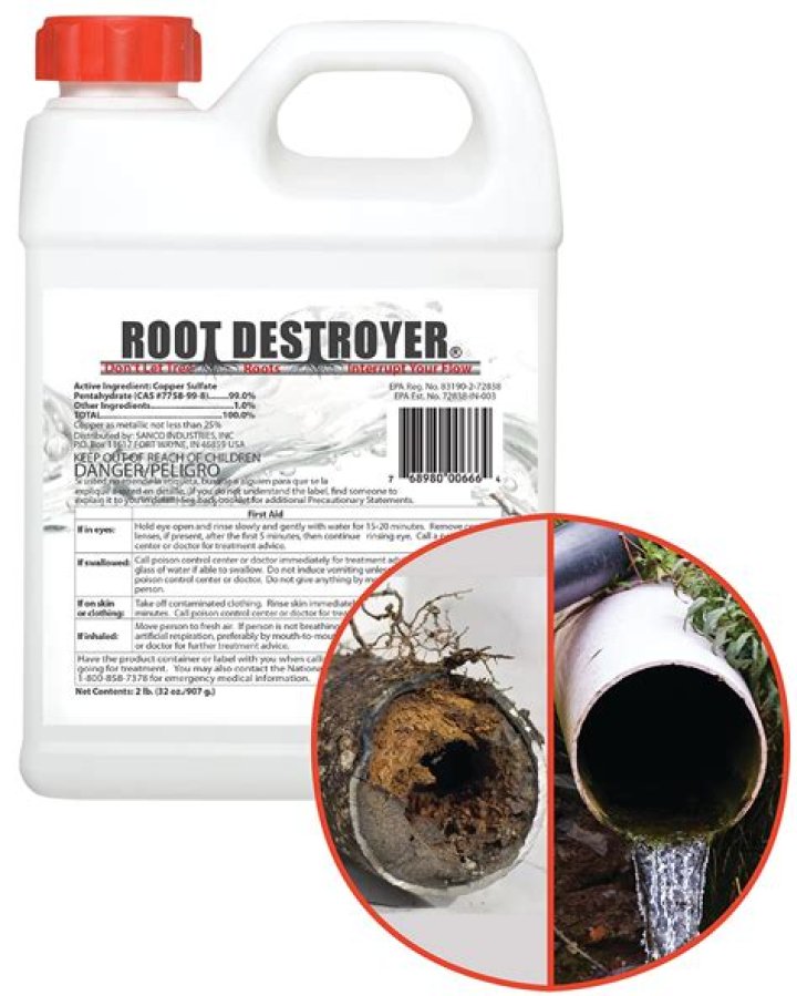 What drain cleaner kills tree roots?